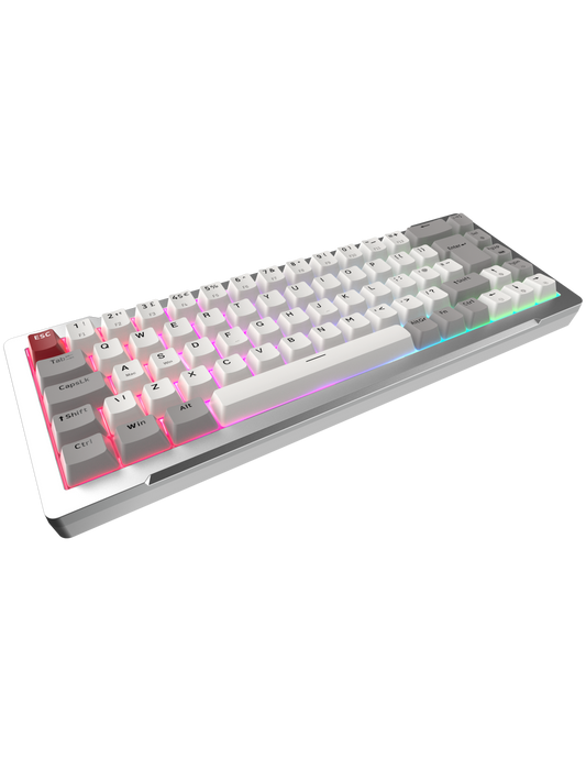 RAIJINTEK TASTIERA GAMING MGA-68 SILVER ALLUMINIO ARGB MAGNETIC SWITCH