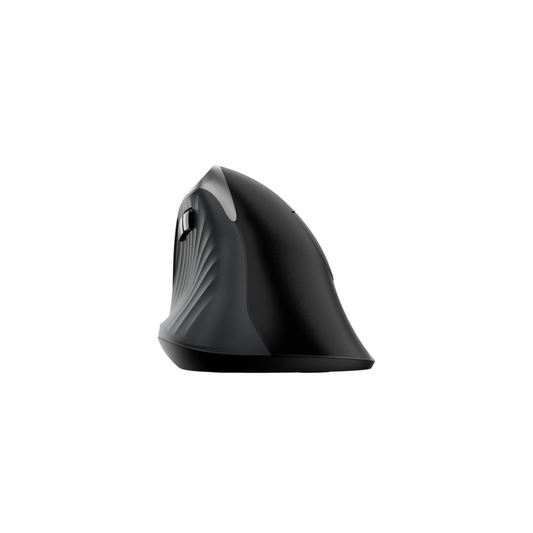 GENIUS MOUSE ERGONOMIC WIR. ERGO 8250S VERTICALE + POGGIAPOLSO SILVER GRAY/