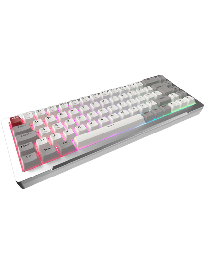 RAIJINTEK TASTIERA GAMING MGA-68 SILVER ALLUMINIO ARGB MAGNETIC SWITCH